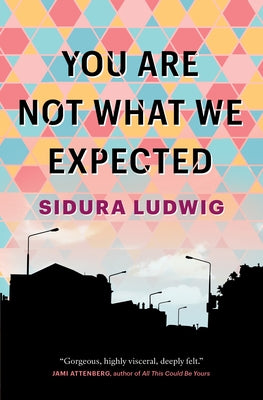 You Are Not What We Expected Paperback Astoria