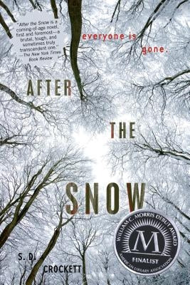 After the Snow Paperback Square Fish