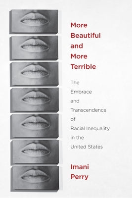 More Beautiful and More Terrible: The Embrace and Transcendence of Racial Inequality in the United States Paperback New York University Press