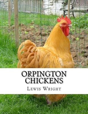 Orpington Chickens: From The Book of Poultry Paperback Createspace Independent Publishing Platform