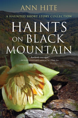 Haints on Black Mountain Paperback Mercer University Press