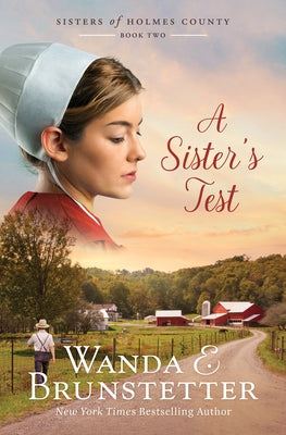A Sister's Test: Volume 2 Paperback Barbour Fiction