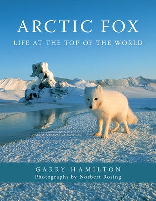 Arctic Fox: Life at the Top of the World Paperback Firefly Books