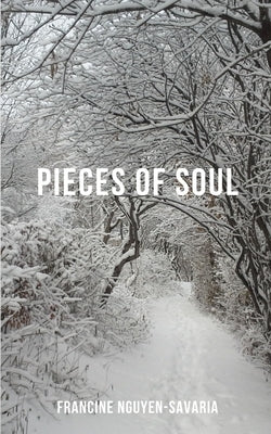 Pieces of Soul Paperback Libresco Feeds Private Limited