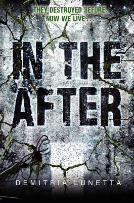 In the After Paperback Harperteen