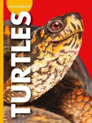 Curious about Turtles Paperback Amicus Ink