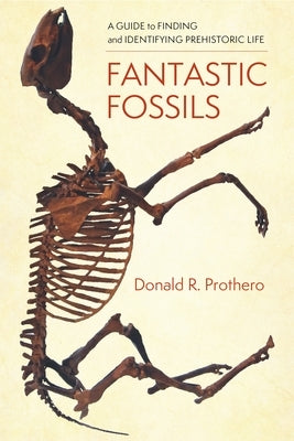 Fantastic Fossils: A Guide to Finding and Identifying Prehistoric Life Paperback Columbia University Press