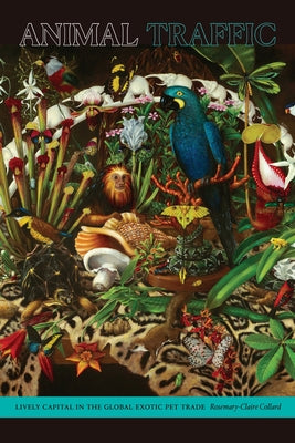 Animal Traffic: Lively Capital in the Global Exotic Pet Trade Paperback Duke University Press