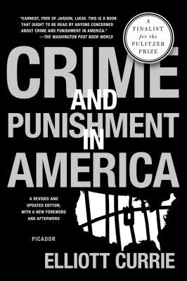 Crime and Punishment in America Paperback St. Martins Press-3PL