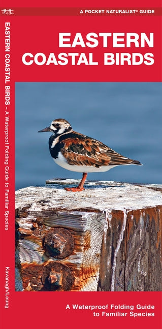 Eastern Coastal Birds: A Waterproof Folding Guide to Familiar Species by Waterford Press