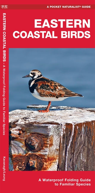 Eastern Coastal Birds: A Waterproof Folding Guide to Familiar Species Paperback Waterford Press