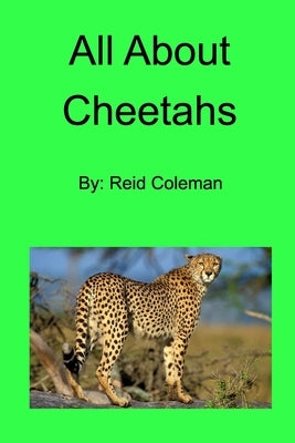 All About Cheetahs Paperback Blurb