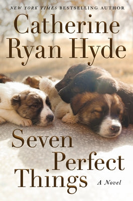 Seven Perfect Things Paperback Lake Union Publishing