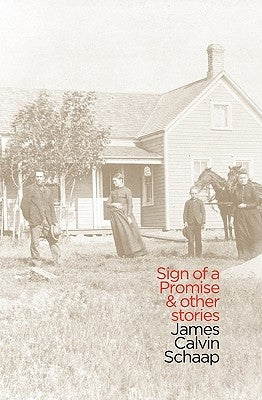 Sign of a Promise and Other Stories Paperback Dordt College Press
