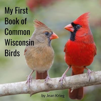 My First Book of Common Wisconsin Birds Paperback Createspace Independent Publishing Platform