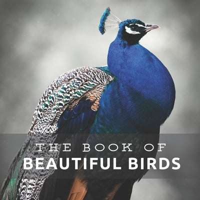 Beautiful Birds: Picture Book For Seniors With Dementia (Alzheimer's) Paperback Independently Published