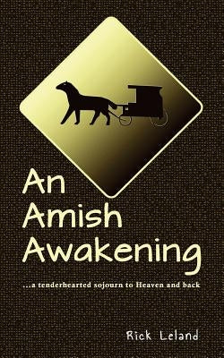 An Amish Awakening: a tenderhearted sojourn to Heaven and back Paperback Free Store Books