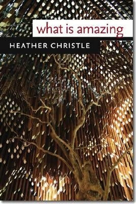 What Is Amazing Paperback Wesleyan University Press