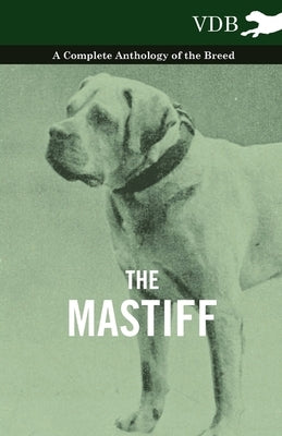The Mastiff - A Complete Anthology of the Breed Paperback Vintage Dog Books