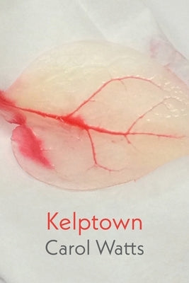 Kelptown Paperback Shearsman Books
