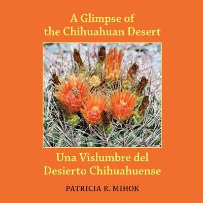 A Glimpse of the Chihuahuan Desert: Una Vislumbre del Desierto Chihuahuense Paperback Mogollon Publications