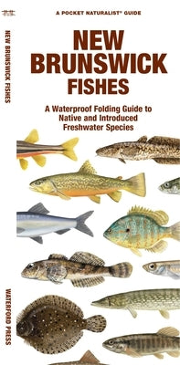 New Brunswick Fishes: A Waterproof Folding Guide to Native and Introduced Freshwater Species Paperback Waterford Press