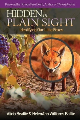 Hidden in Plain Sight Paperback Alicia Beattie