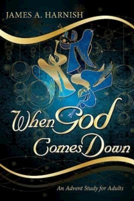 When God Comes Down: An Advent Study for Adults Paperback Abingdon Press