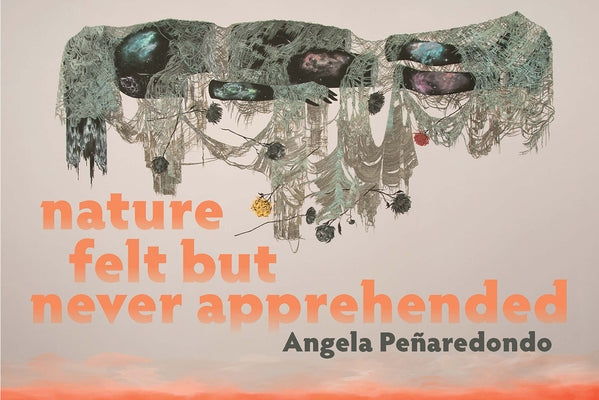 Nature Felt But Never Apprehended Paperback Noemi Press
