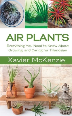Air Plants: Everything You Need to Know About Growing, and Caring for Tillandsias Paperback Independently Published
