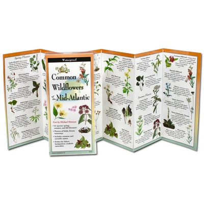 Illustration of common wildflowers of the Mid-Atlantic region from Earth Sky + Water, showing various colorful native plants.