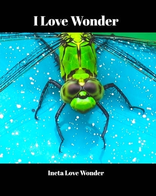 I Love Wonder Paperback Blurb