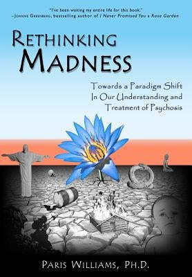 Rethinking Madness: Towards a Paradigm Shift in Our Understanding and Treatment of Psychosis Paperback Sky's Edge Publishing