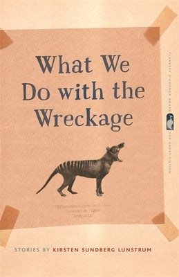 What We Do with the Wreckage: Stories Paperback University of Georgia Press