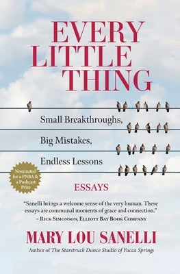 Every Little Thing: Small Breakthroughs, Big Mistakes, Endless Lessons Paperback Chatwin Books