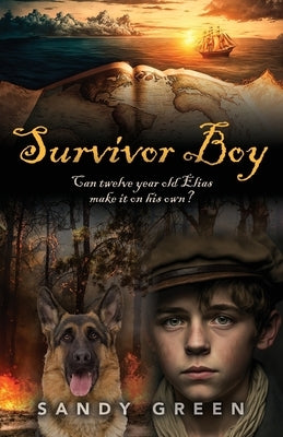Survivor Boy Paperback Booklocker.com