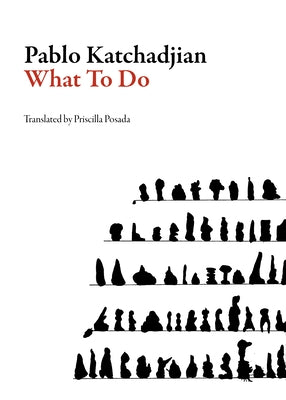 What to Do Paperback Dalkey Archive Press