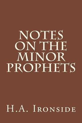Notes On The Minor Prophets Paperback Createspace Independent Publishing Platform