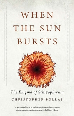 When the Sun Bursts: The Enigma of Schizophrenia Paperback Yale University Press