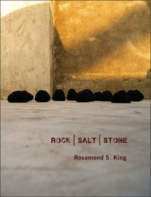 Rocksaltstone Paperback Nightboat Books