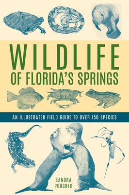 Wildlife of Florida's Springs: An Illustrated Field Guide to Over 150 Species Paperback Pineapple Press