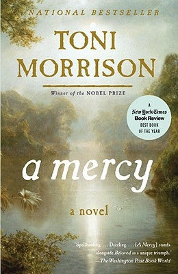 Cover of Vintage paperback novel "A Mercy" featuring artwork of a historical scene with warm tones and vintage style.