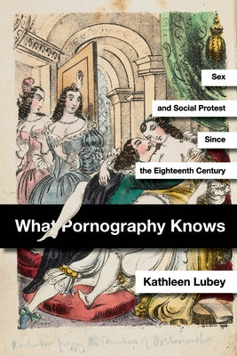 What Pornography Knows: Sex and Social Protest Since the Eighteenth Century Paperback Stanford University Press