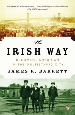 The Irish Way: Becoming American in the Multiethnic City Paperback Penguin Adult Hc/Tr