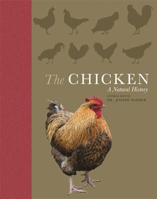 The Chicken: A Natural History Paperback Princeton University Press