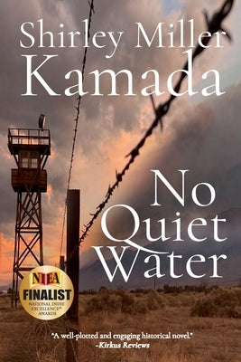No Quiet Water Paperback Black Rose Writing