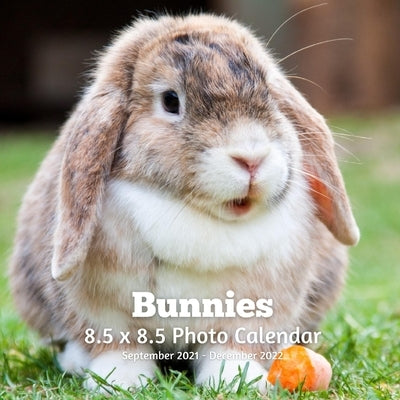 Bunnies 8.5 X 8.5 Calendar September 2021 -December 2022: Monthly Calendar with U.S./UK/ Canadian/Christian/Jewish/Muslim Holidays-Cute Rabbits Pets Paperback Independently Published