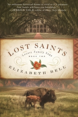 Lost Saints Paperback Claire-Voie Books