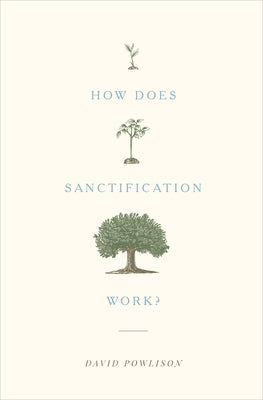 How Does Sanctification Work? Paperback Crossway