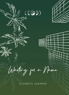 Waiting for a Name Paperback Shanti Arts LLC